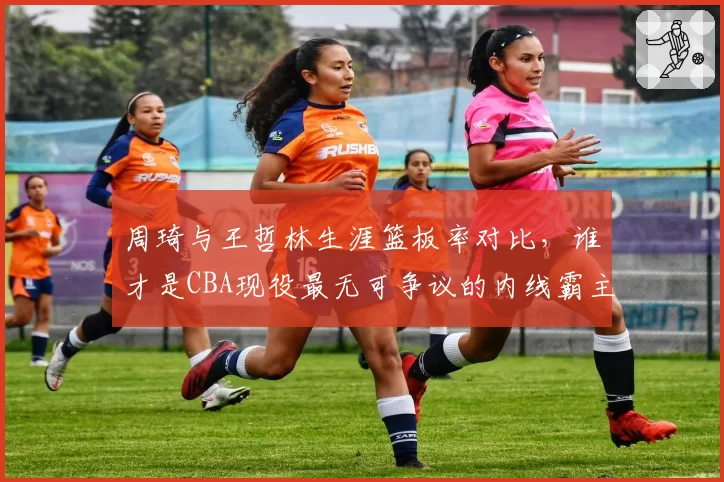周琦与王哲林生涯篮板率对比，谁才是CBA现役最无可争议的内线霸主？