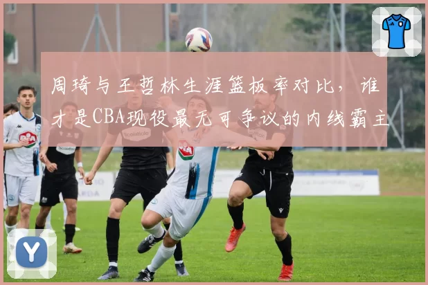 周琦与王哲林生涯篮板率对比，谁才是CBA现役最无可争议的内线霸主？