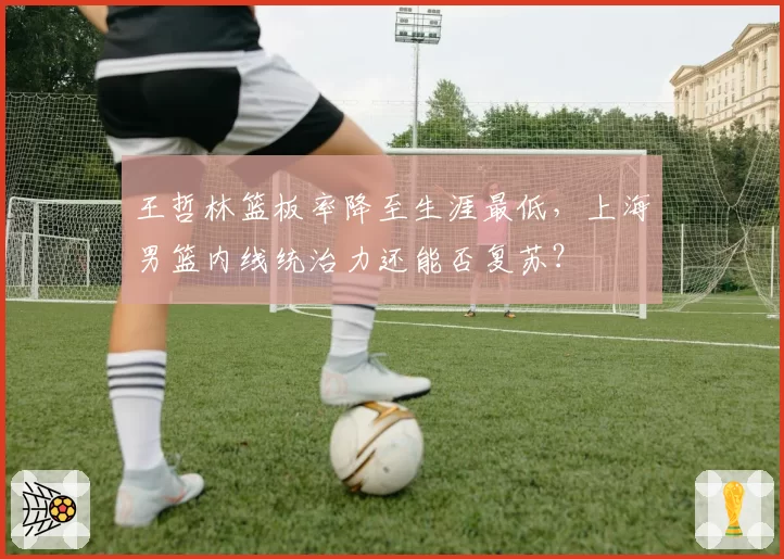 王哲林篮板率降至生涯最低，上海男篮内线统治力还能否复苏？